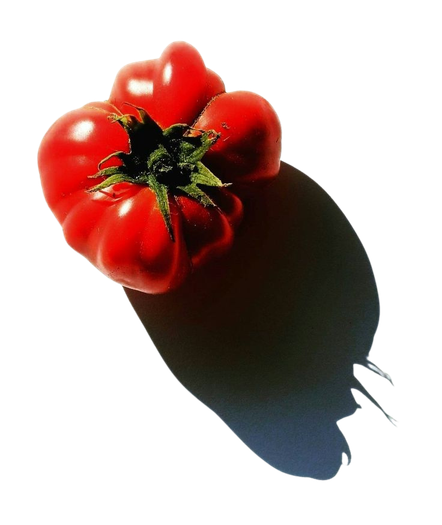 Beefsteak Tomato