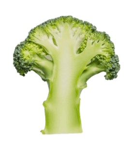 Garden Broccoli